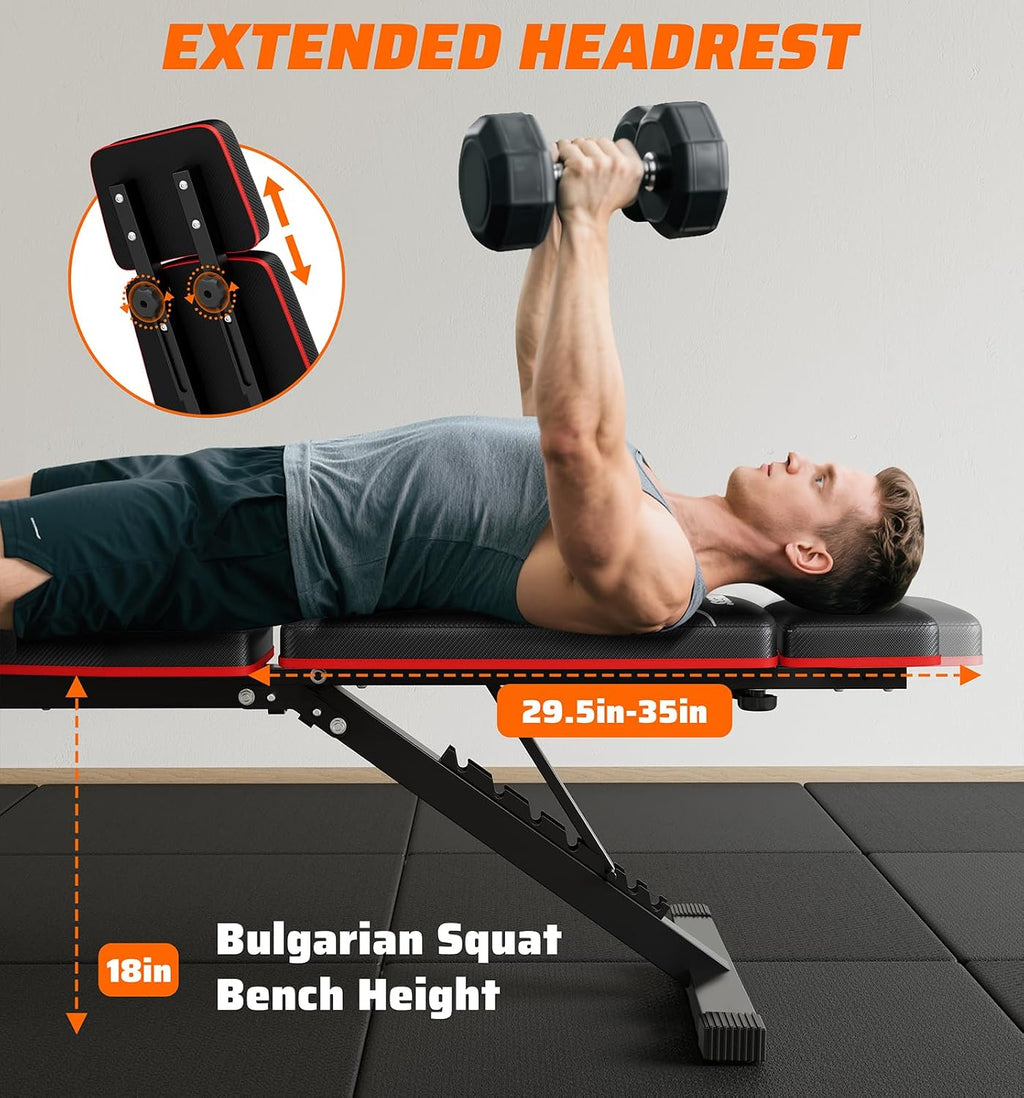 Weight Bench with Leg Developer